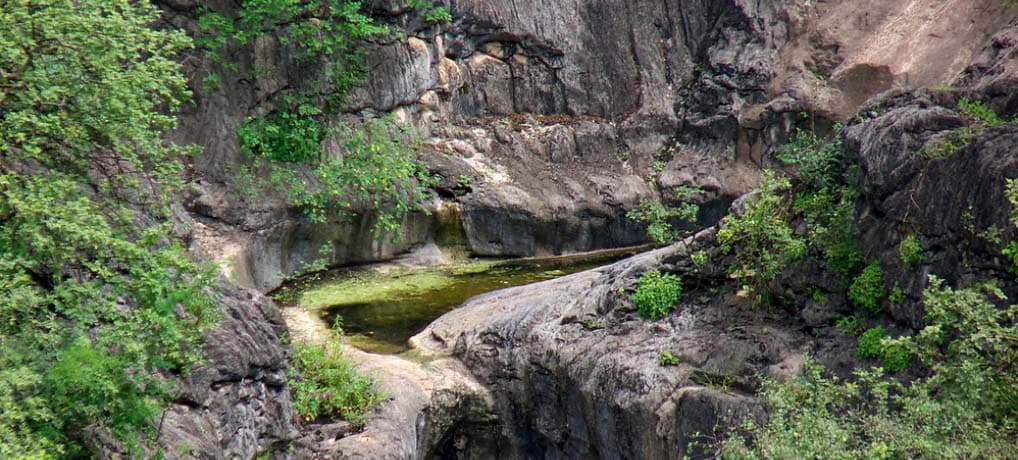 East Jewels Wadi Darbat Full Day in Salalah