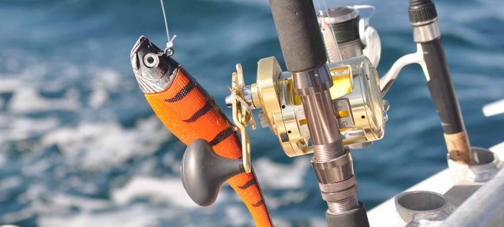 Fishing Via Speed Boat