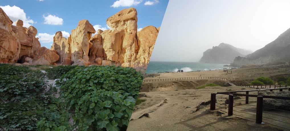 Half day tour The Best of West Salalah