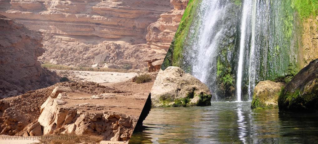 Wadi Ayun Full Day Salalah tour